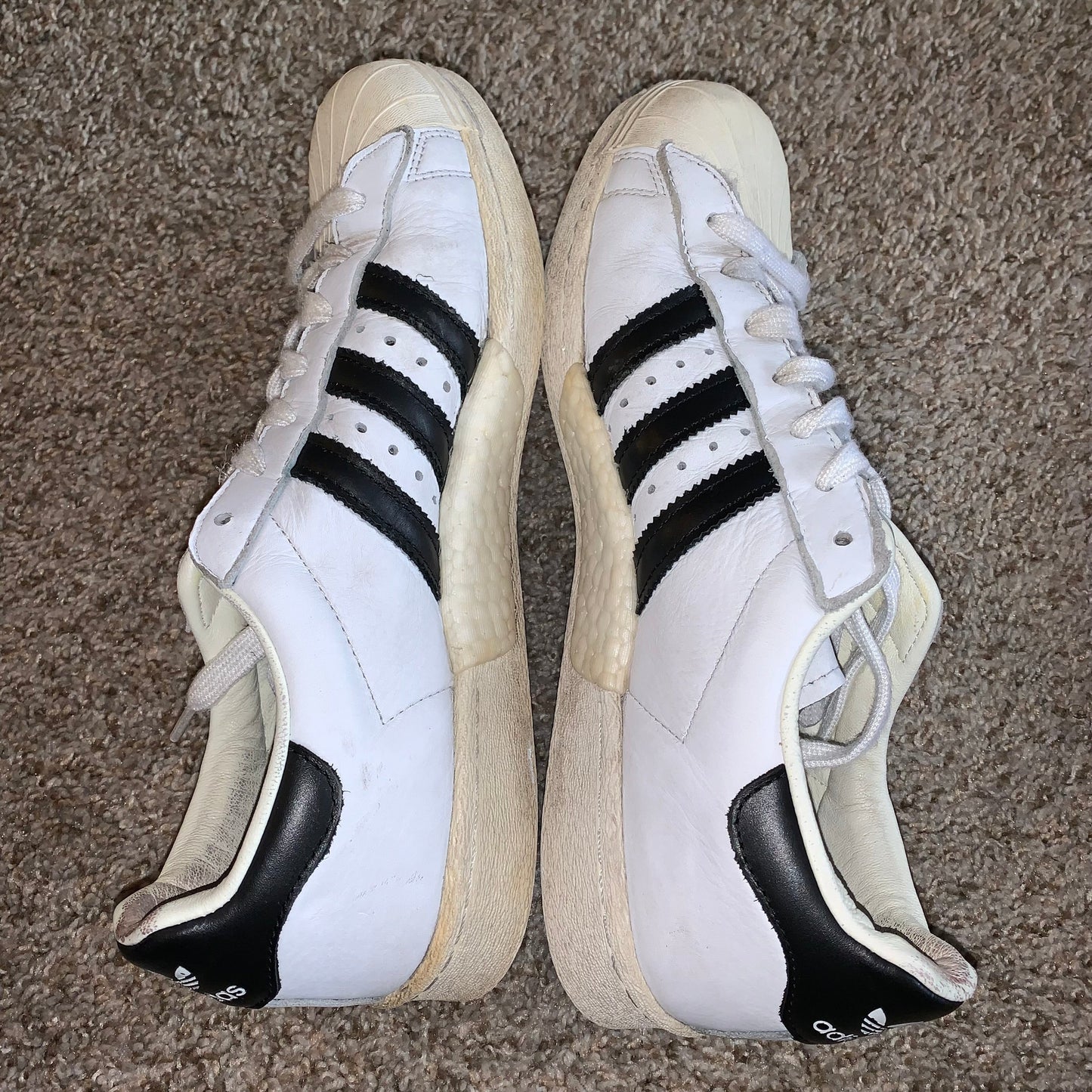 Adidas Shell Top Classic Sneakers Shoes size