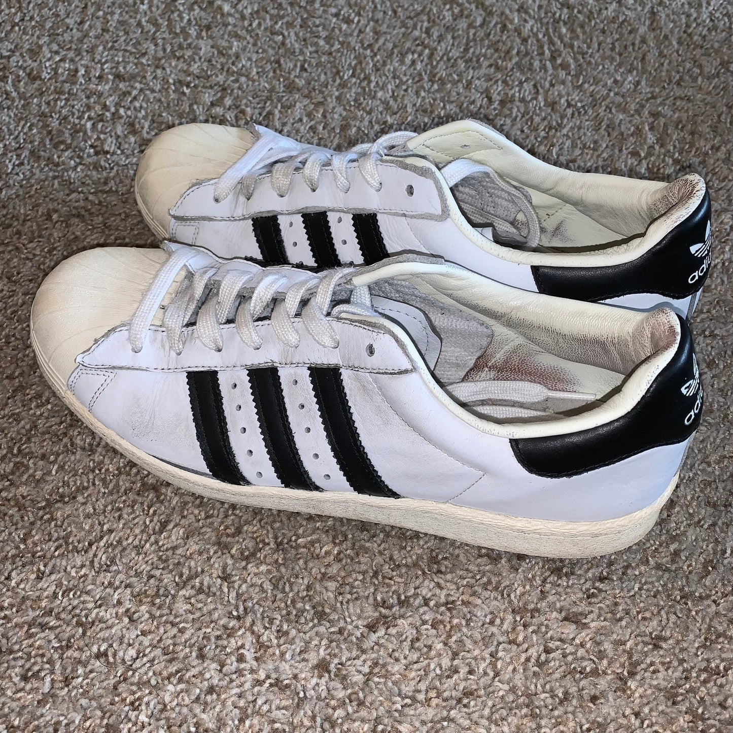 Adidas Shell Top Classic Sneakers Shoes size